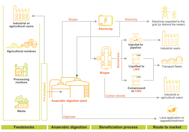 Anaerobic digestion